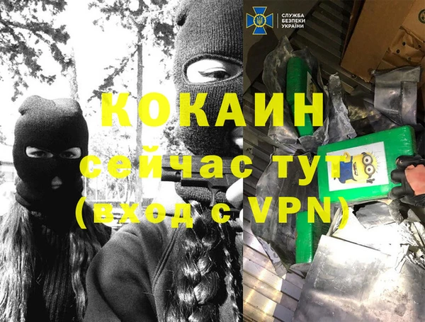 сатива Алзамай