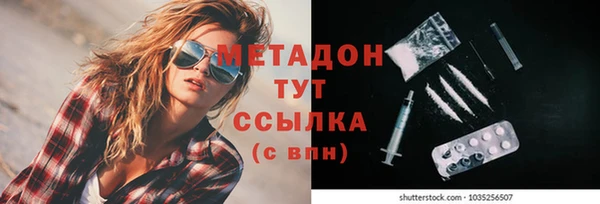 сатива Алзамай