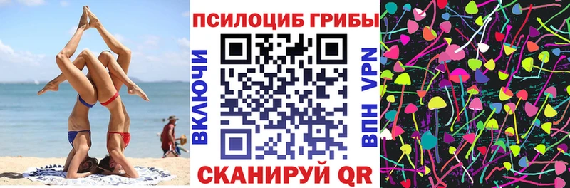 мега tor  Жирновск  Псилоцибиновые грибы прущие грибы 